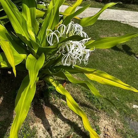 艾斯克普小屋式酒店 Ko Lanta 外观 照片